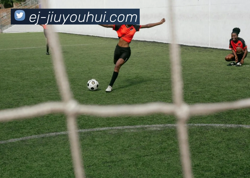 九游会J9官网发展历程